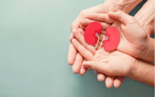 KBY Olan Çocuklarda Beslenme